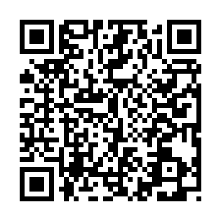 QR code for IIA8334