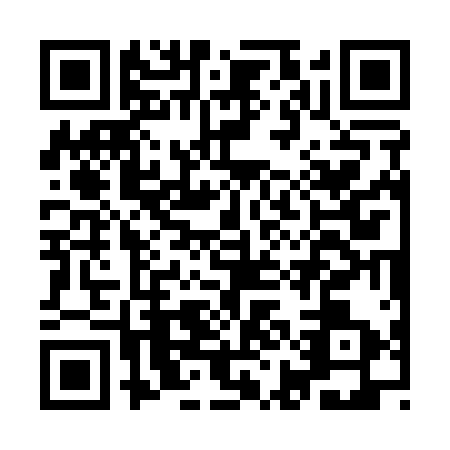 QR code for IIC1138