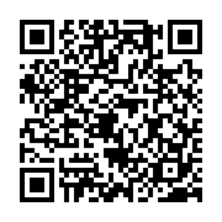 QR code for IIC3721