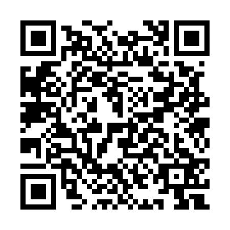 QR code for IIC5233