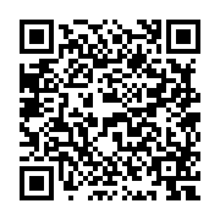 QR code for IIC8863