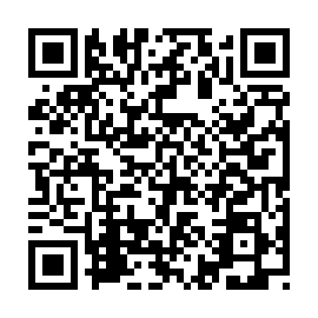 QR code for IIE4585