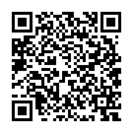 QR code for IIF6653