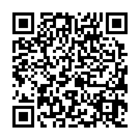 QR code for IIG3307