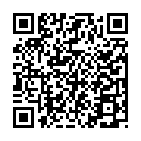 QR code for IIG4489