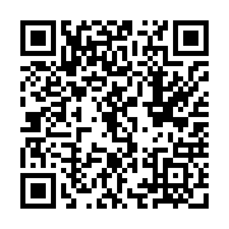 QR code for IIG8234
