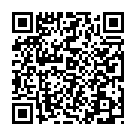 QR code for IIH0238