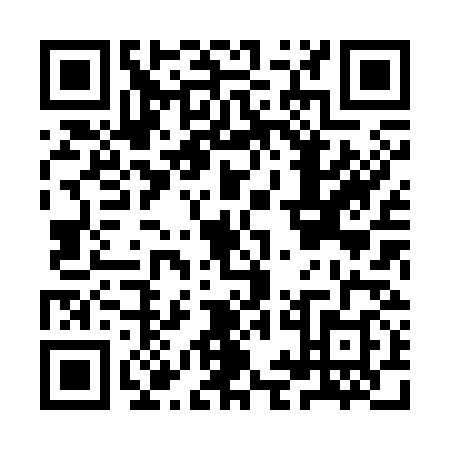 QR code for IIH3384