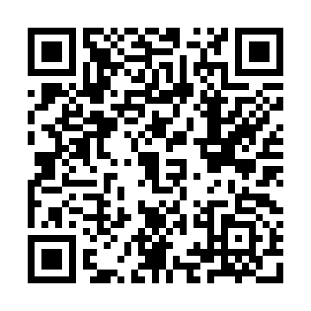 QR code for IIJ3933