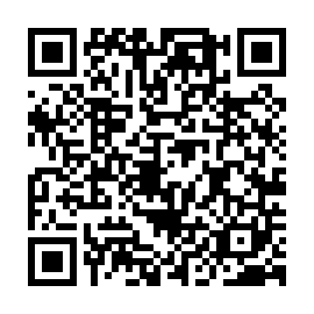 QR code for IIL0411