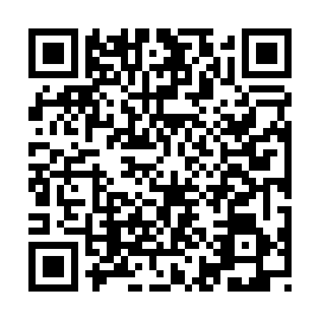 QR code for IIN0665
