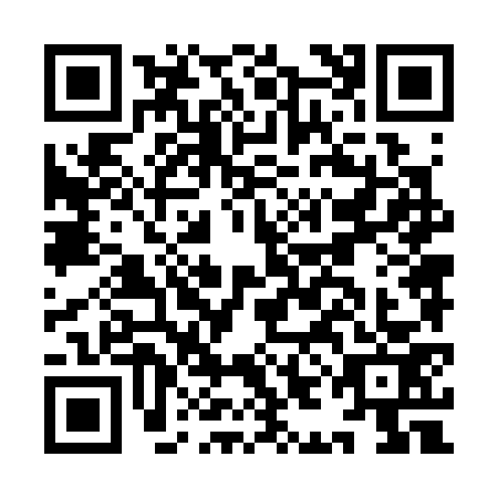 QR code for IIN3739