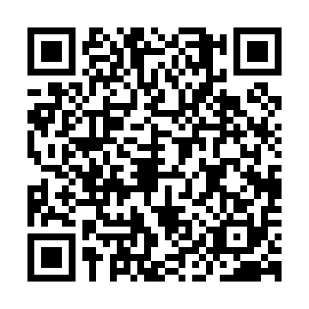 QR code for IIP0100