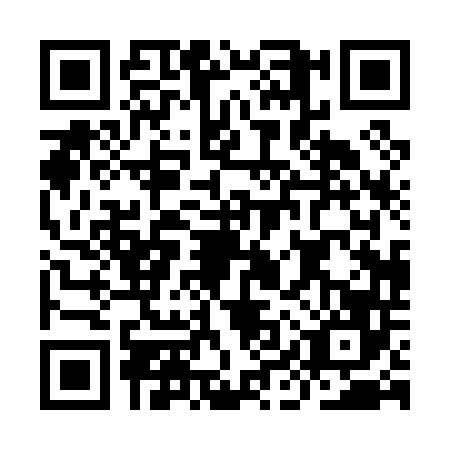 QR code for IIP0466