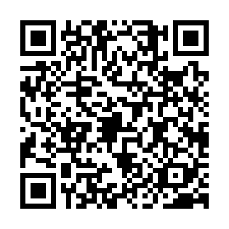 QR code for IIP3295
