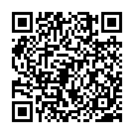 QR code for IIQ2979