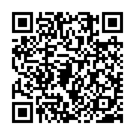 QR code for IIR2995