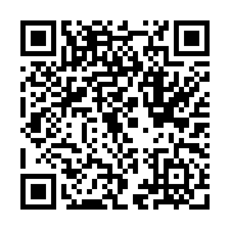 QR code for IIR3948