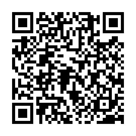 QR code for IIT4339