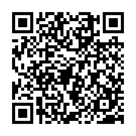QR code for IIY2869