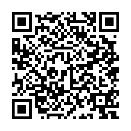 QR code for IIZ0103