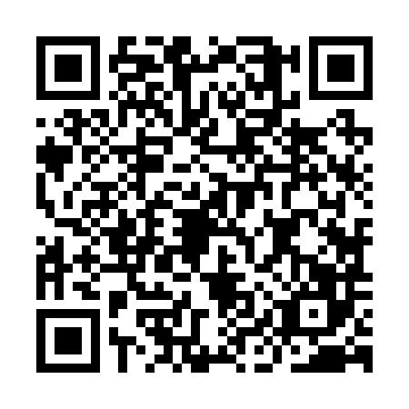 QR code for IIZ2863