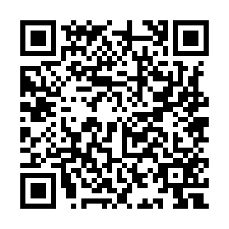 QR code for IIZ9565