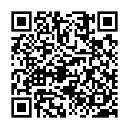 QR code for IJB7207