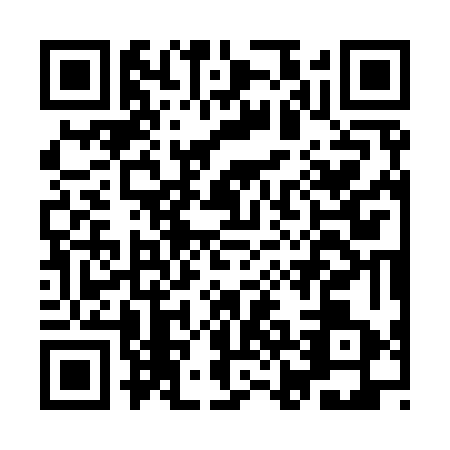 QR code for IJC9638