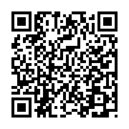 QR code for IJJ9419