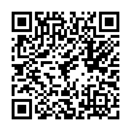 QR code for IJL3917