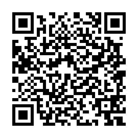 QR code for IJP0987