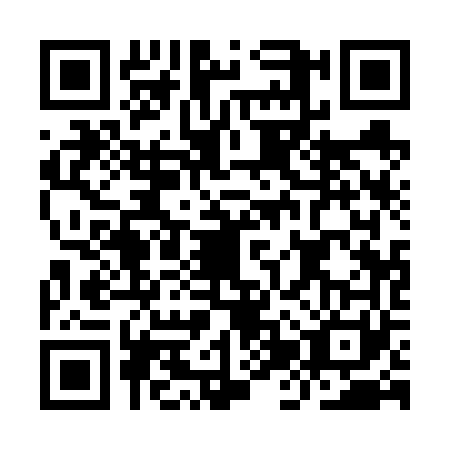 QR code for IJQ6611