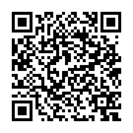 QR code for IJS3369