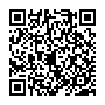 QR code for IJS3856