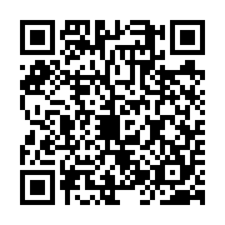 QR code for IJS6541