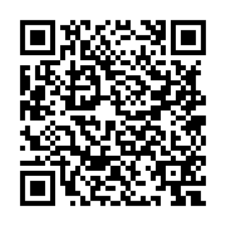 QR code for IJS8529
