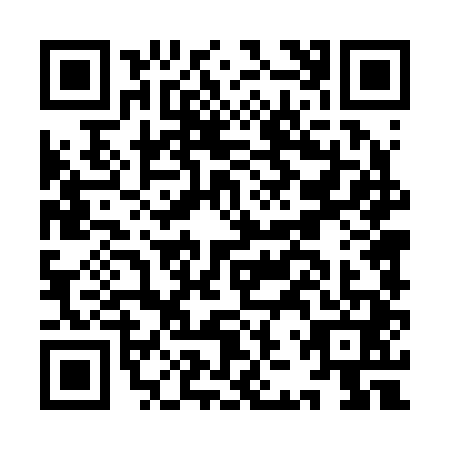QR code for IJT2411