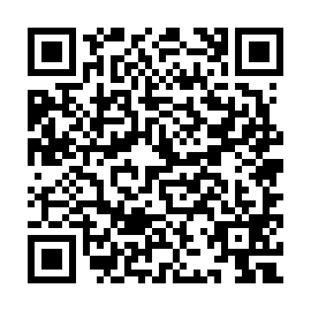 QR code for IJU6994