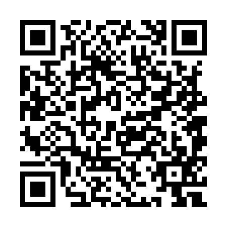 QR code for IJV9979