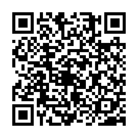 QR code for ILY2095