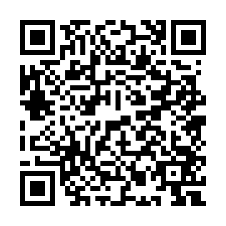 QR code for IMP7438