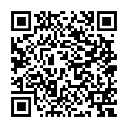 QR code for INA0917