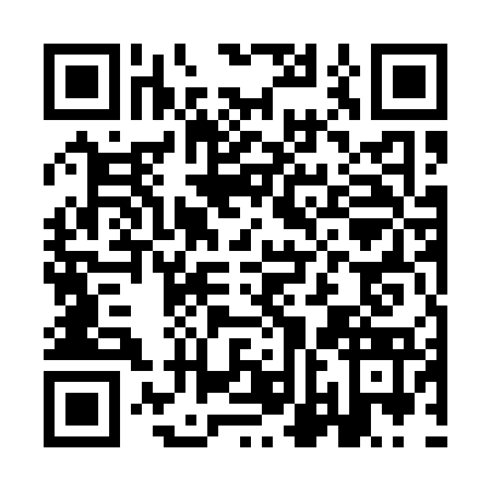 QR code for INE1733