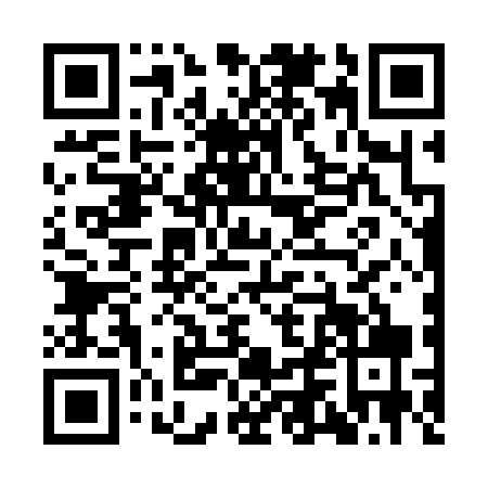 QR code for INF3795