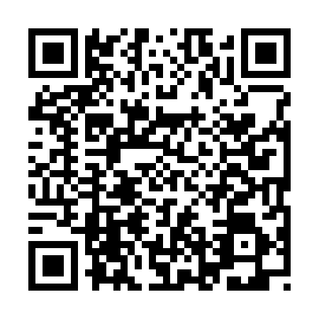 QR code for INI3863