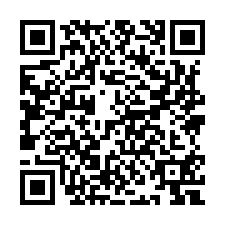 QR code for INI9107