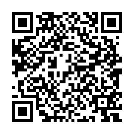 QR code for INL6519