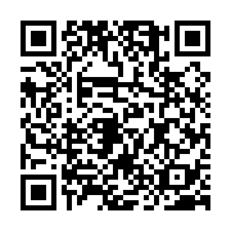 QR code for INU1393