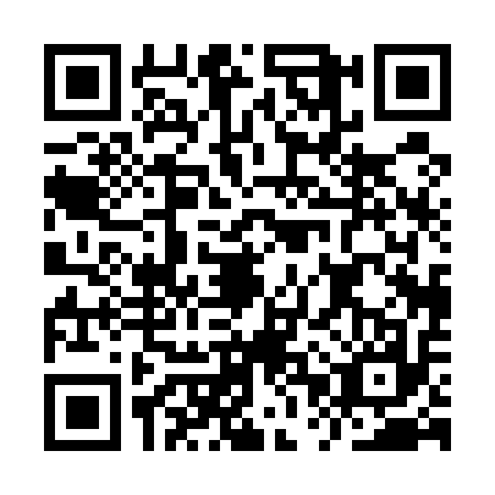QR code for IPP5173